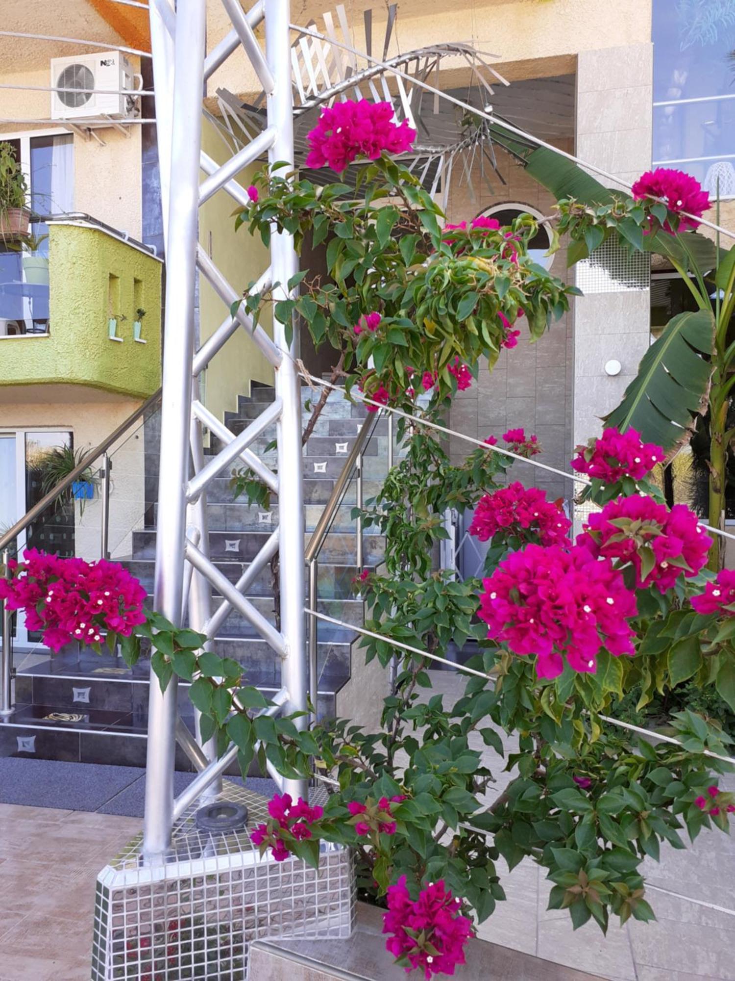 Lilalo Ηotel Paralía المظهر الخارجي الصورة